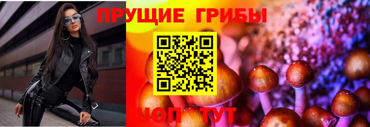 Псилоцибиновые грибы Psilocybe Трёхгорный